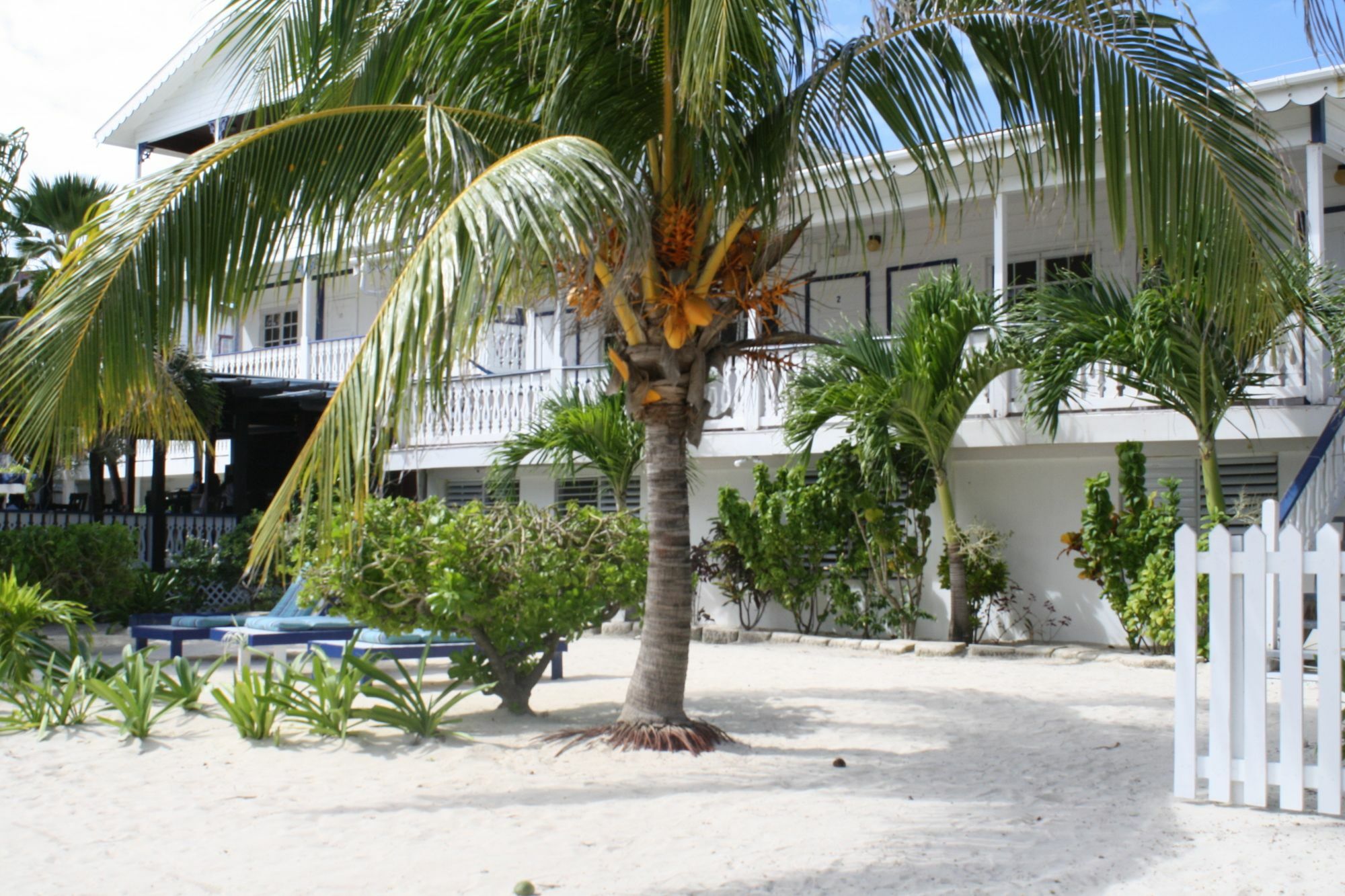 Holiday Hotel San Pedro  Εξωτερικό φωτογραφία